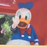 没什么好名字了