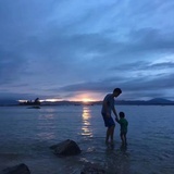 玉白菜