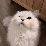 聪明的小明