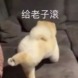 噜啦噜啦噜