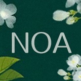 Noa夜茉莉