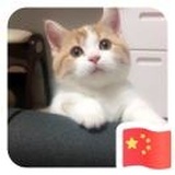 是我