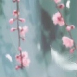 随心啵啵