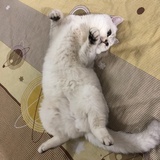 wuyyy