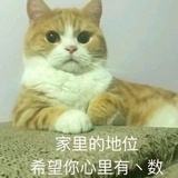 豆友210352901