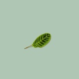 没有奶茶的日子