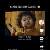 慌忙的梦曼