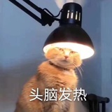 熊大