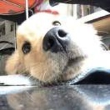 你好可爱.