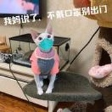 yuki