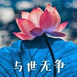 爱兔子的瑞瑞酱