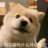 空空空兮