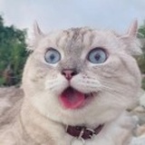 不考上不改名
