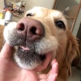 贝儿不加糖