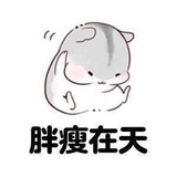 林小熊的白日梦
