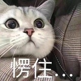 豆油