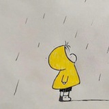 菠萝毛毛🐛