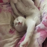 沈俊杰
