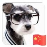 亚平宁内拉