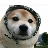 圆月