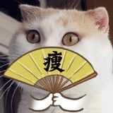 被窝是早餐的坟