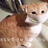 酸酸酸梅汁