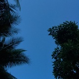 康