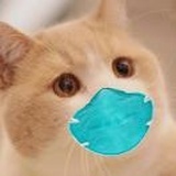 想开F1的程序员