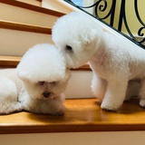 Misu&Mino