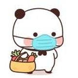 肥鸽子