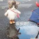 安得
