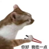 海拉鲁食之贤者