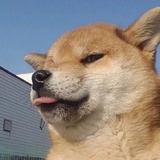 ALITTLEF
