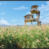 我要吃青菜