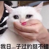 能做咸鱼吗