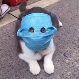 憨豆先生