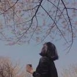 啵一口月亮