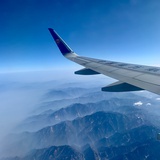 风飞絮
