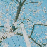 承佳