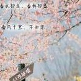 刘子箬185530296