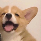 真真的绿松石