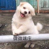 笙笙笑