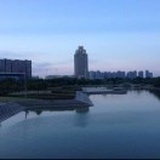 小蚂蚁
