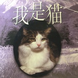 豆瓣酱