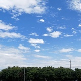 想吃炸鸡