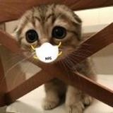 独一