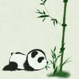 左伊q