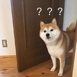 给二娃买零食