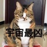 阿呆油