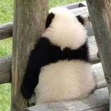 把我的笋还给我